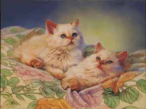 Cozy Kittens